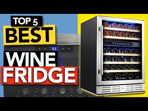 ✅ TOP 5 Best Wine Fridge 2022 | Budget Wine Cooler review