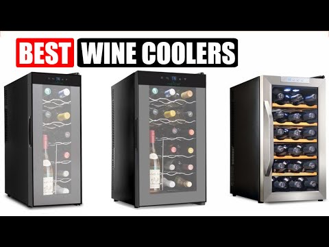 Top 10 Best Wine Coolers In 2023 Reviews