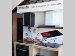 Máy hút mùi Dmestik ES 2070 DMK 2 hinh anh san pham may hut mui dmestik es 2070 dmk