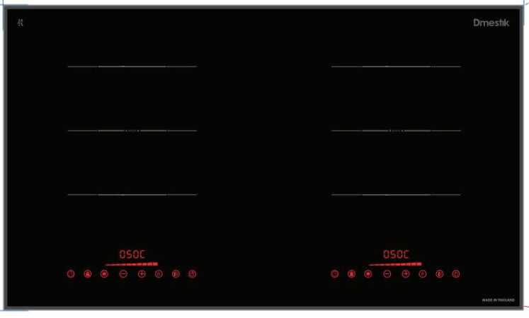 Bếp từ Dmestik TL 2055DKI