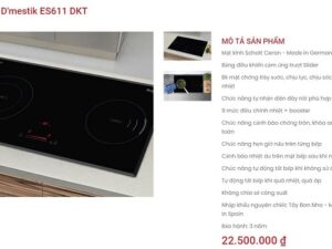 Bếp điện từ Dmestik ES611 DKT