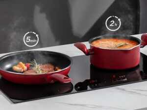 hinh anh thuc te bep tu feuer f88 plus