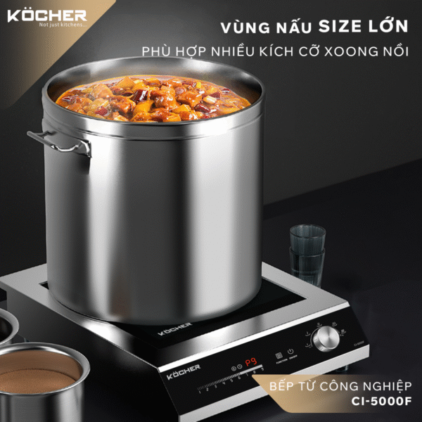bếp từ công nghiệp 5000F nâu nôi size lớn